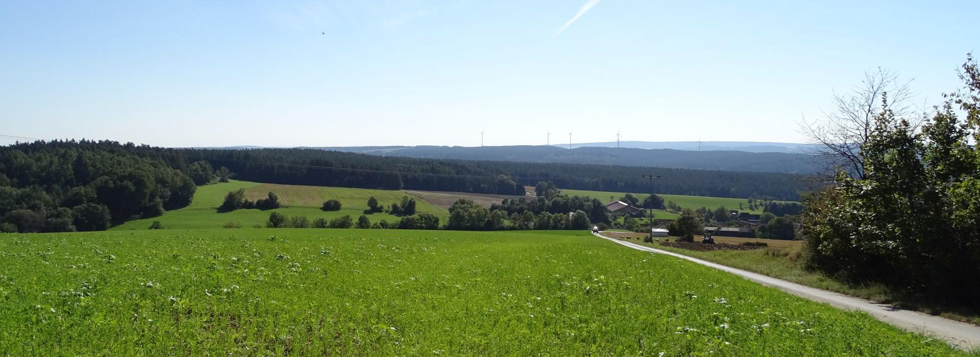 Blick vom Fenkenseeser Berg
